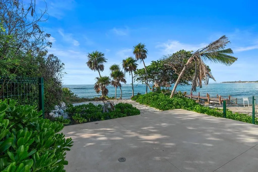 Apartment Seahorse Prvt Jacuzzi W Ocean View Beach Access 9 Pools Akumal