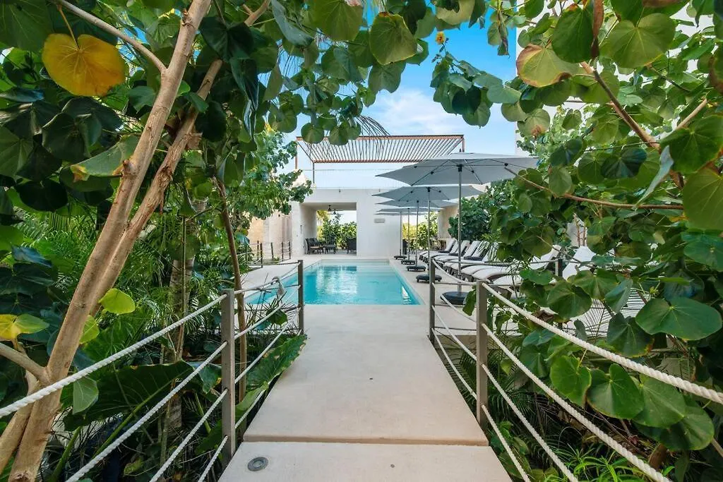 Seahorse Prvt Jacuzzi W Ocean View Beach Access 9 Pools Akumal 0*,