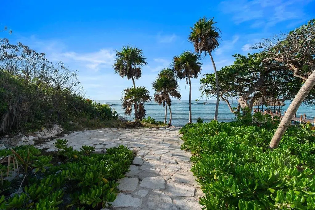 Seahorse Prvt Jacuzzi W Ocean View Beach Access 9 Pools Akumal Apartment